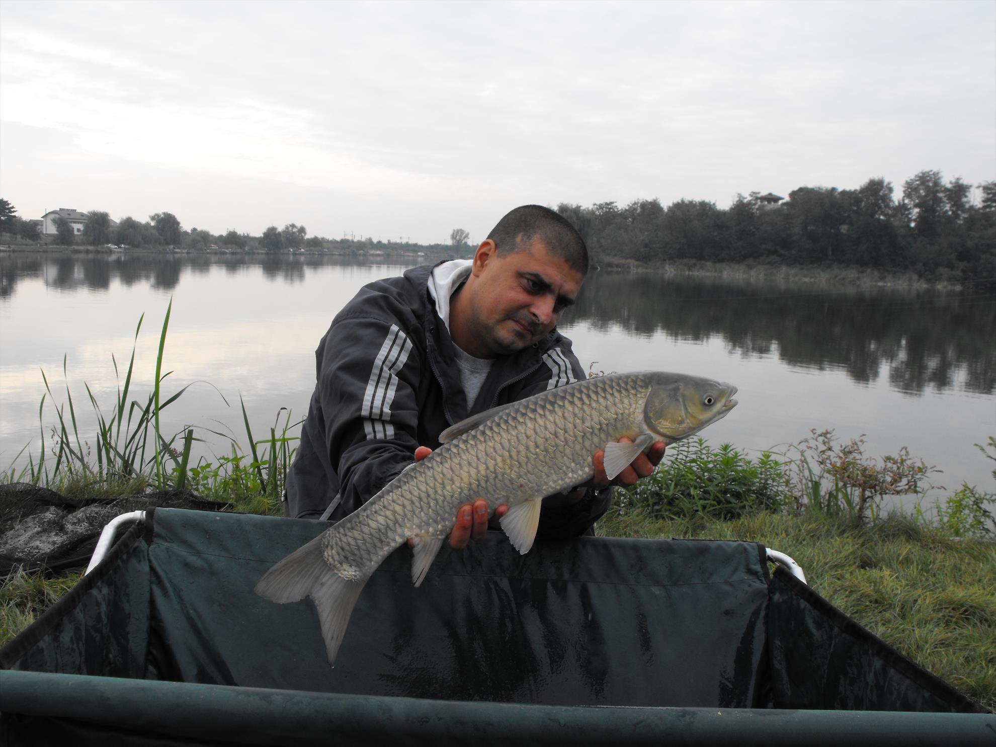 Hermes Peris 19 - 20 septembrie 2014 - dscf1010.JPG